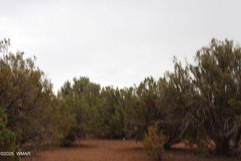 Photo of Sec 8 T11N, R22E:, White Mountain Lake, AZ 85912 (MLS # 258102)