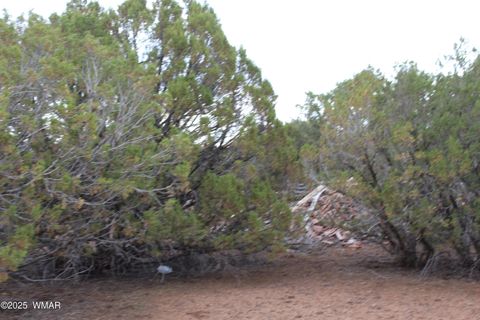 Tiny photo for Sec 8 T11N, R22E:, White Mountain Lake, AZ 85912 (MLS # 258102)