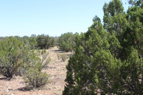 Tiny photo for Sec 8 T11N, R22E:, White Mountain Lake, AZ 85912 (MLS # 258102)