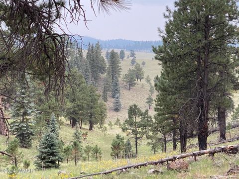 Tiny photo for 2601 Thunderbolt Circle, Pinetop, AZ 85935 (MLS # 255655)