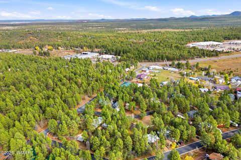 Tiny photo for 4041 Antler Lane, Show Low, AZ 85901 (MLS # 258757)