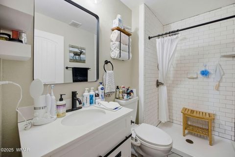 Tiny photo for 4041 Antler Lane, Show Low, AZ 85901 (MLS # 258757)