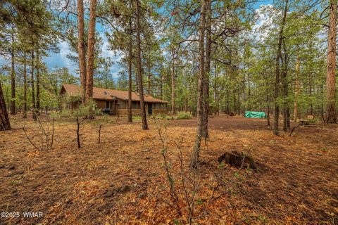 Tiny photo for 1111 W White Mountain Boulevard, Lakeside, AZ 85929 (MLS # 260011)
