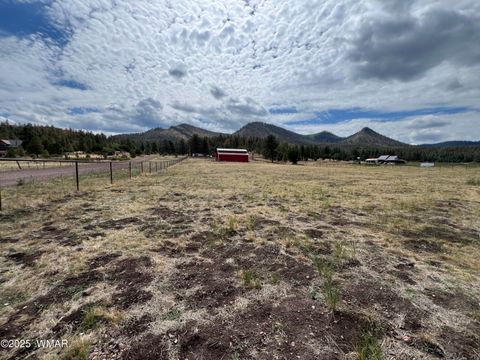 Tiny photo for TBD County Road N2276, Nutrioso, AZ 85932 (MLS # 257127)