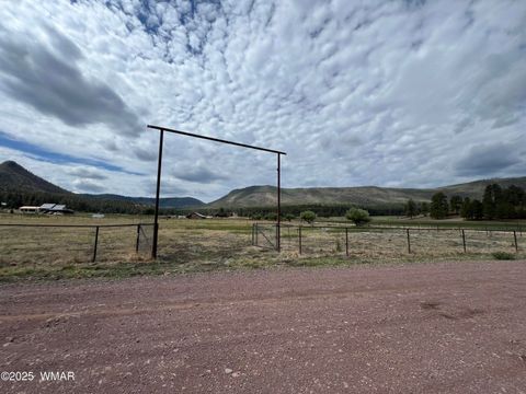 Photo of TBD County Road N2276, Nutrioso, AZ 85932 (MLS # 257127)