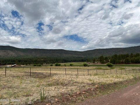 Tiny photo for TBD County Road N2276, Nutrioso, AZ 85932 (MLS # 257127)