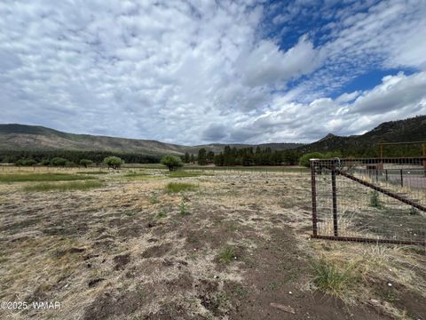 Tiny photo for TBD County Road N2276, Nutrioso, AZ 85932 (MLS # 257127)