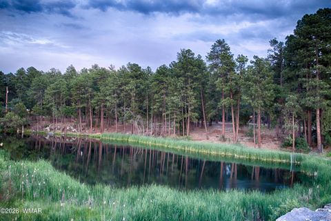 Tiny photo for 2540 Waters Edge Lane, Lakeside, AZ 85929 (MLS # 260244)