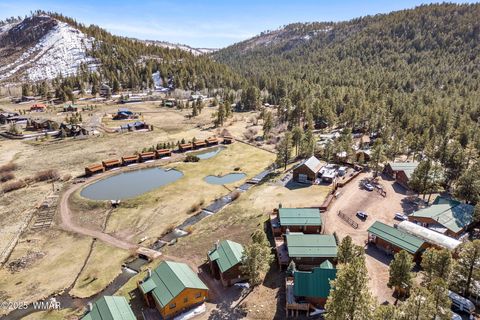 Tiny photo for 44 Main St #168, Greer, AZ 85927 (MLS # 261134)