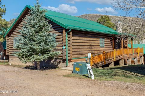 Tiny photo for 44 Main St #168, Greer, AZ 85927 (MLS # 261134)