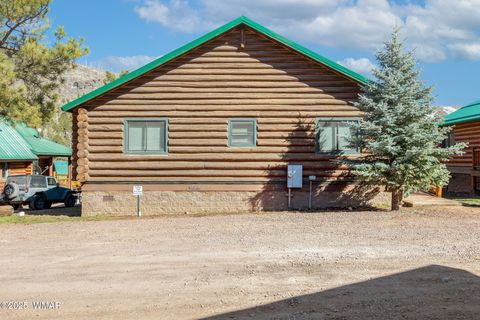Tiny photo for 44 Main St #168, Greer, AZ 85927 (MLS # 261134)