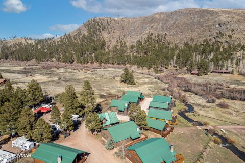Tiny photo for 44 Main St #168, Greer, AZ 85927 (MLS # 261134)