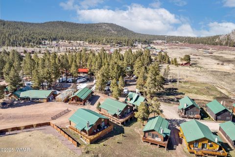 Tiny photo for 44 Main St #168, Greer, AZ 85927 (MLS # 261134)