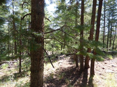 Tiny photo for 9 County Road 2073, Alpine, AZ 85920 (MLS # 252474)