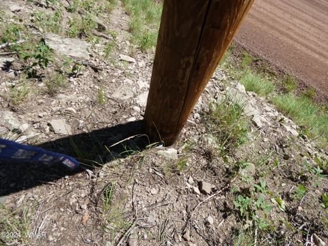Tiny photo for 9 County Road 2073, Alpine, AZ 85920 (MLS # 252474)
