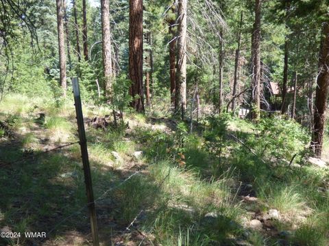 Tiny photo for 9 County Road 2073, Alpine, AZ 85920 (MLS # 252474)