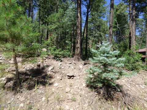 Tiny photo for 9 County Road 2073, Alpine, AZ 85920 (MLS # 252474)