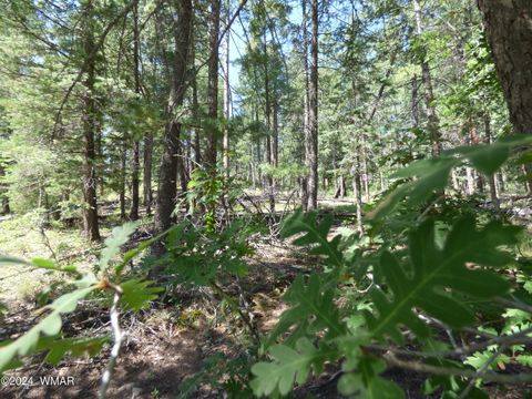 Tiny photo for 9 County Road 2073, Alpine, AZ 85920 (MLS # 252474)