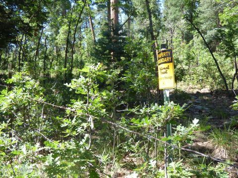 Tiny photo for 9 County Road 2073, Alpine, AZ 85920 (MLS # 252474)