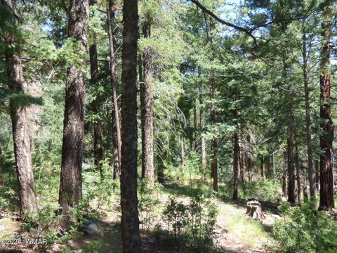 Tiny photo for 9 County Road 2073, Alpine, AZ 85920 (MLS # 252474)