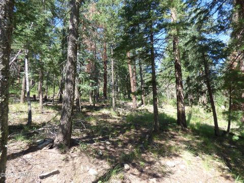 Tiny photo for 9 County Road 2073, Alpine, AZ 85920 (MLS # 252474)