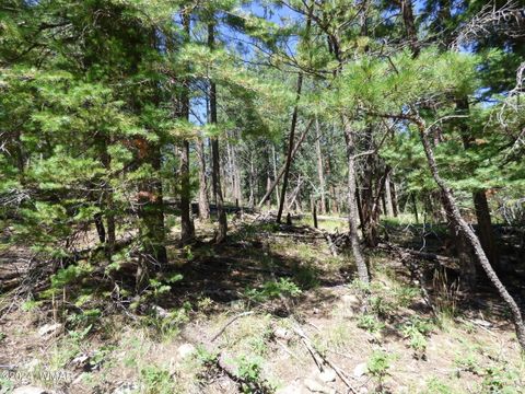 Tiny photo for 9 County Road 2073, Alpine, AZ 85920 (MLS # 252474)