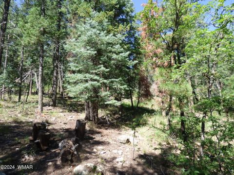 Tiny photo for 9 County Road 2073, Alpine, AZ 85920 (MLS # 252474)