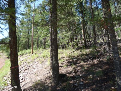 Tiny photo for 9 County Road 2073, Alpine, AZ 85920 (MLS # 252474)