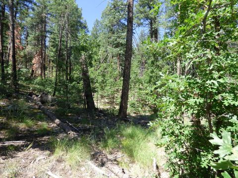 Tiny photo for 9 County Road 2073, Alpine, AZ 85920 (MLS # 252474)