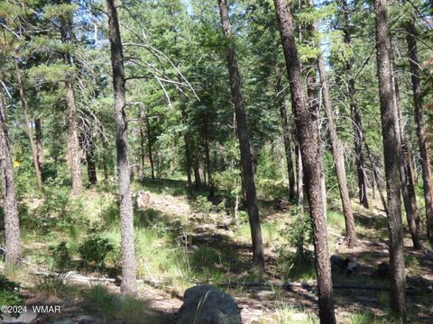 Tiny photo for 9 County Road 2073, Alpine, AZ 85920 (MLS # 252474)
