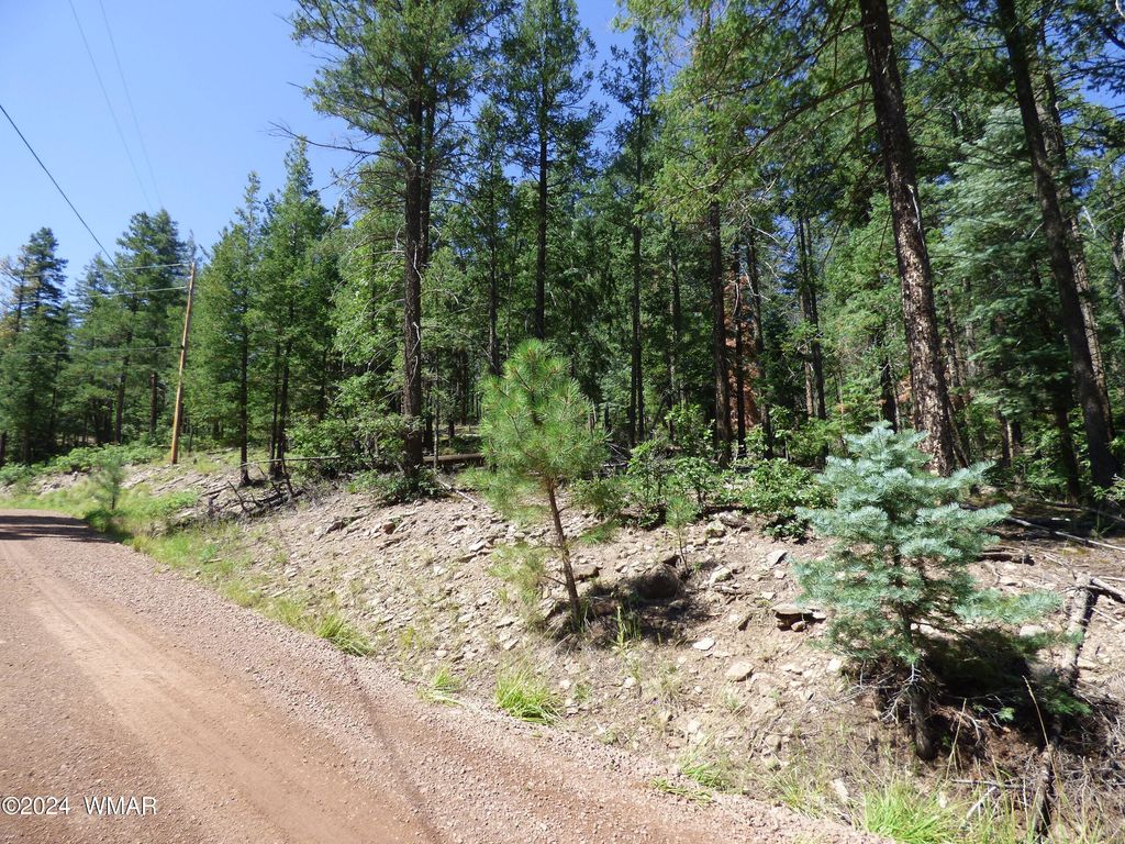 Photo for 9 County Road 2073, Alpine, AZ 85920 (MLS # 252474)