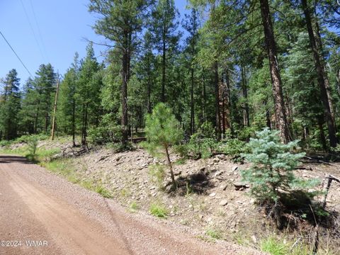 Photo of 9 County Road 2073, Alpine, AZ 85920 (MLS # 252474) Photo of 9 County Road 2073, Alpine, AZ 85920 (MLS # 252474)