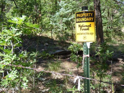 Tiny photo for 9 County Road 2073, Alpine, AZ 85920 (MLS # 252474)