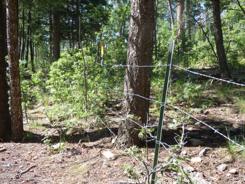 Tiny photo for 9 County Road 2073, Alpine, AZ 85920 (MLS # 252474)