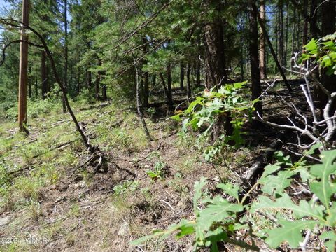 Tiny photo for 9 County Road 2073, Alpine, AZ 85920 (MLS # 252474)