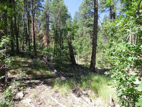 Tiny photo for 9 County Road 2073, Alpine, AZ 85920 (MLS # 252474)