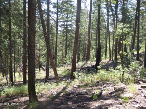 Tiny photo for 9 County Road 2073, Alpine, AZ 85920 (MLS # 252474)