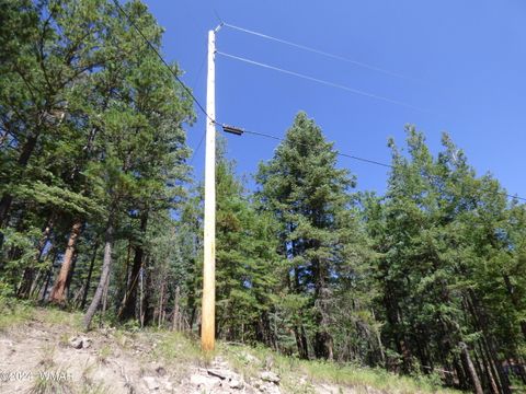 Tiny photo for 9 County Road 2073, Alpine, AZ 85920 (MLS # 252474)