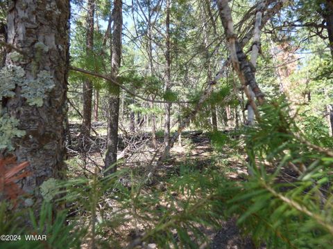 Tiny photo for 9 County Road 2073, Alpine, AZ 85920 (MLS # 252474)