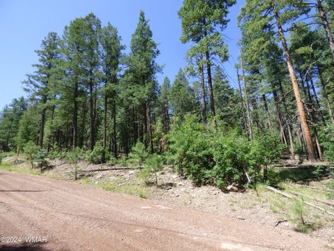 Tiny photo for 9 County Road 2073, Alpine, AZ 85920 (MLS # 252474)
