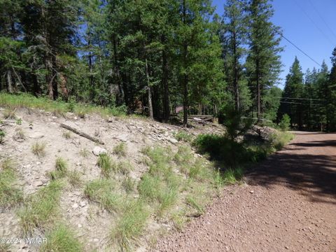 Tiny photo for 9 County Road 2073, Alpine, AZ 85920 (MLS # 252474)