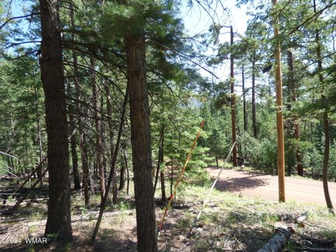 Tiny photo for 9 County Road 2073, Alpine, AZ 85920 (MLS # 252474)