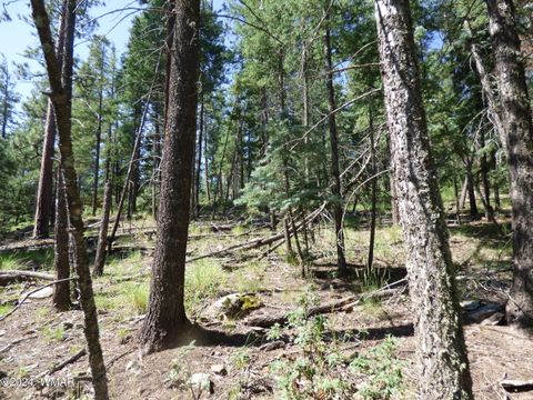 Tiny photo for 9 County Road 2073, Alpine, AZ 85920 (MLS # 252474)