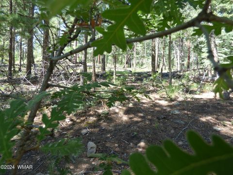 Tiny photo for 9 County Road 2073, Alpine, AZ 85920 (MLS # 252474)