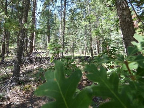 Tiny photo for 9 County Road 2073, Alpine, AZ 85920 (MLS # 252474)