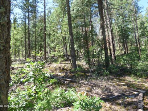 Tiny photo for 9 County Road 2073, Alpine, AZ 85920 (MLS # 252474)