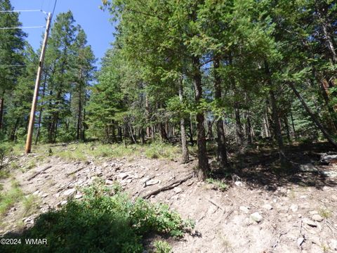 Tiny photo for 9 County Road 2073, Alpine, AZ 85920 (MLS # 252474)