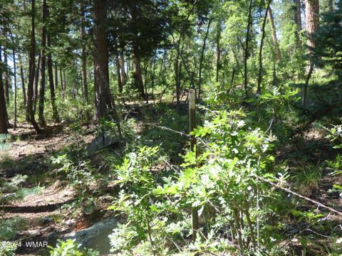 Tiny photo for 9 County Road 2073, Alpine, AZ 85920 (MLS # 252474)