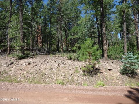 Tiny photo for 9 County Road 2073, Alpine, AZ 85920 (MLS # 252474)