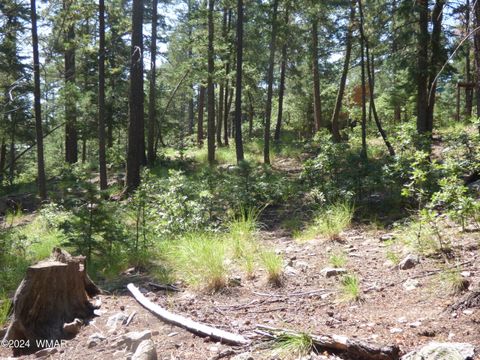 Tiny photo for 9 County Road 2073, Alpine, AZ 85920 (MLS # 252474)